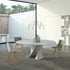 Aïku Chair / Legs In Oak